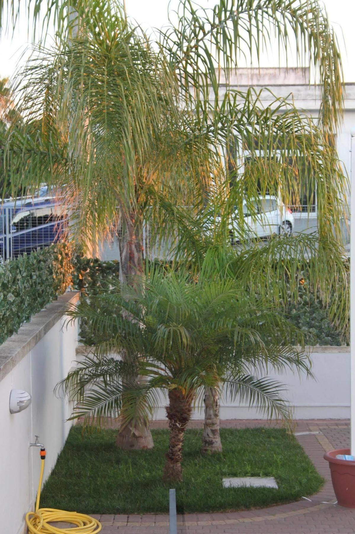 Kalinifta Residence Carpignano Salentino Ngoại thất bức ảnh